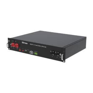 Нисковолтова LiFePO4 батерия Dyness B4850 2.4 kWh (48 V / 50 Ah)